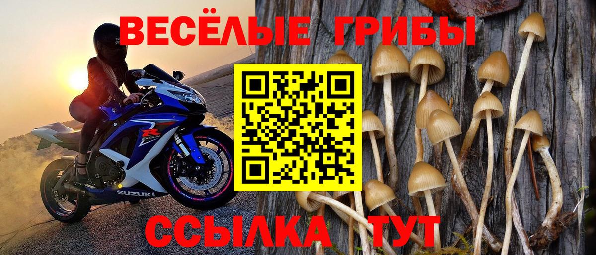 Галлюциногенные грибы GOLDEN TEACHER Карпинск