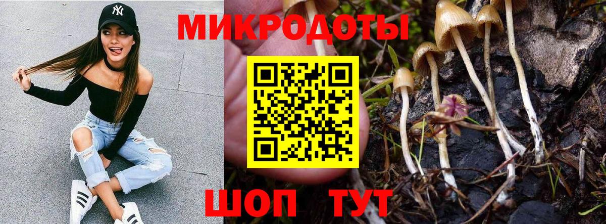 Конопля Карпинск