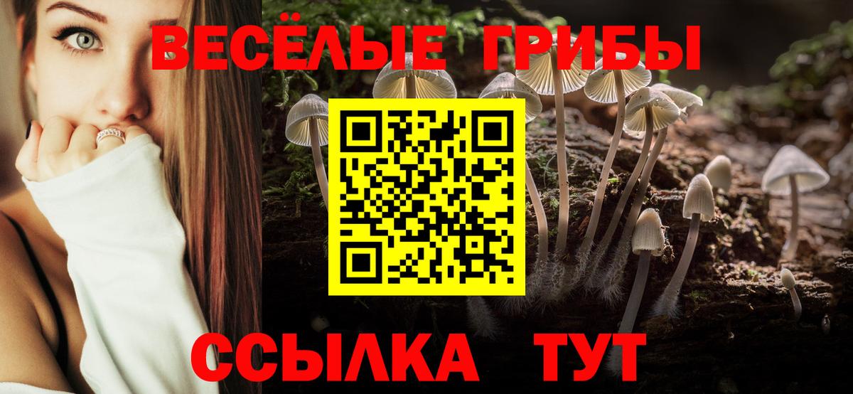 Псилоцибиновые грибы Psilocybine cubensis  Карпинск 