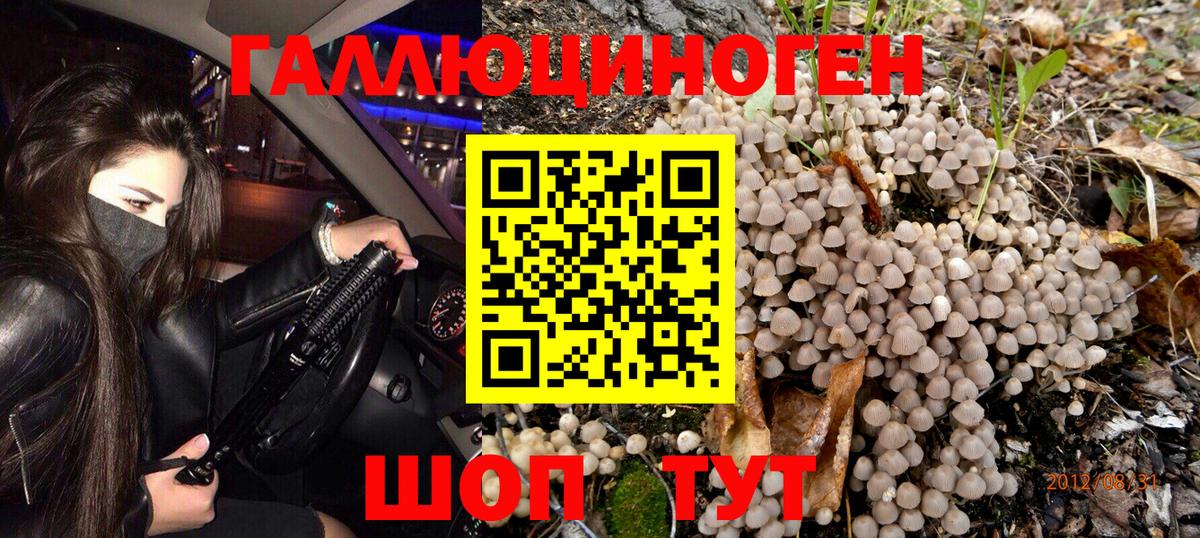Галлюциногенные грибы GOLDEN TEACHER  наркотики  Карпинск  Вход с VPN 